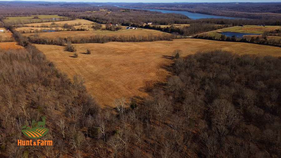 Still 2026-01-28 141101_2.47.1.jpg